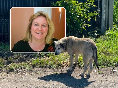 Erna zag hondje uit auto gegooid worden en nam drastisch besluit: nu redt ze straathonden in Roemenië