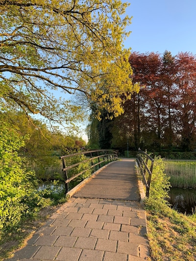 Weekendtips: dit doe je in Veenendaal (7 - 9 nov)