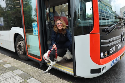 Hond besluit zonder baasje busrit te maken en wordt dikke vrienden met zorgzame chauffeur