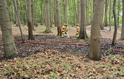 Brandweer rukt uit voor bosbrand in Essen: “Na 20 minuten onder controle”