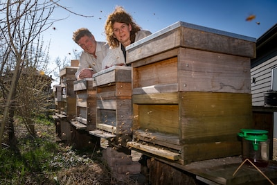 Image related to the article