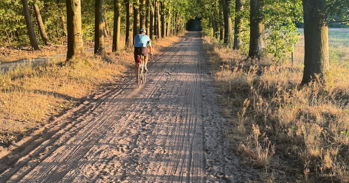 Graveltocht vanuit Emst voert deelnemers door bossen van Nunspeet