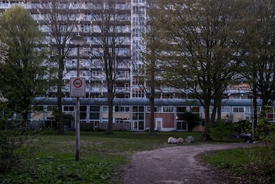 Image related to the article