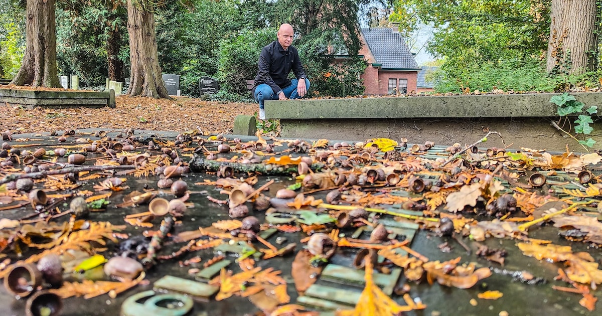 Michél fotografeert graven, oliebolkraam weer open en meer nieuwtjes van afgelopen week
