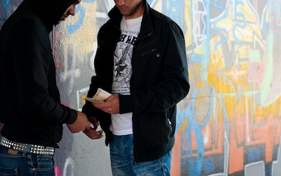 Image related to the article