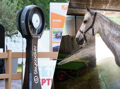 Vijfsterrenbehandeling voor dure paarden van het CHIO: ‘Airco in de trailers en ventilatoren in het bos’