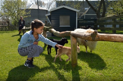 Weekendtips: deze dingen doe je in Gouda (6 - 9 augustus)