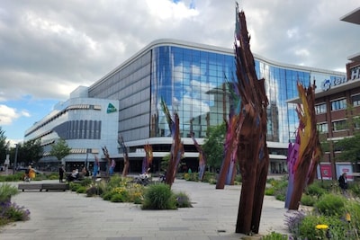 Image related to the article