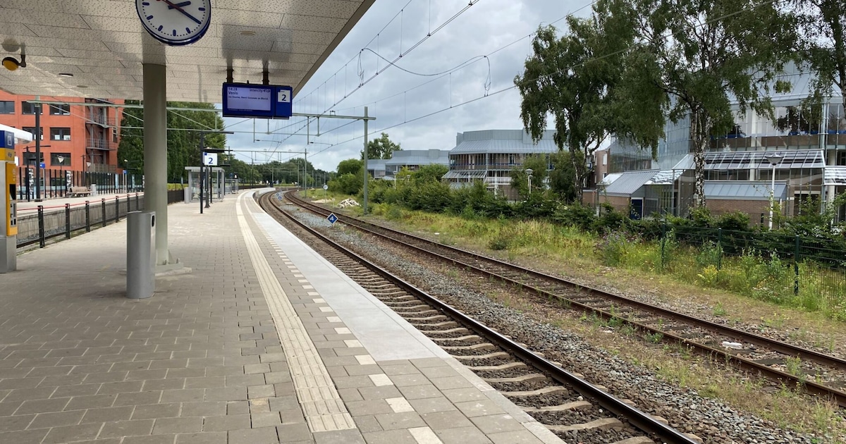 Treinstations onder de loep: zo goed (of slecht) vinden reizigers de stations in Helmond