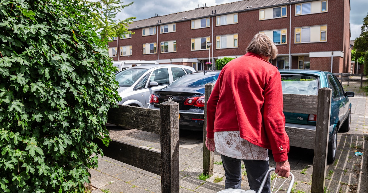 Te veel auto’s en te weinig parkeervakken in Hazerswoude-Rijndijk: ‘Begint nu echt gevaarlijk te wor