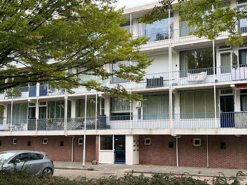Vader nu niet verdacht van ombrengen vrouw en meisje in Terneuzen, politie  onderzoekt meerdere scenario's | Terneuzen | AD.nl