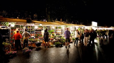 The Luilak market is coming: a kilometer of plants, flowers and more