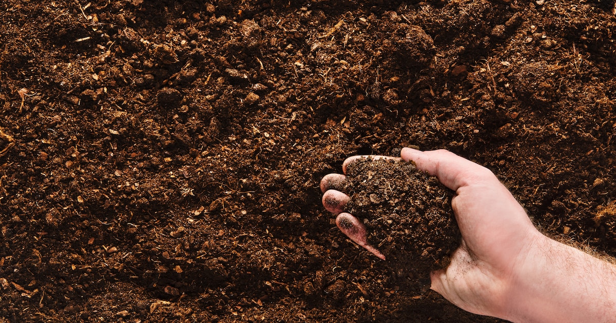 IVN-lezing in Beugen over stabiele humus