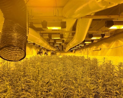 Wietkwekerij Deventer levert taakstraf op én het inleveren van criminele winst