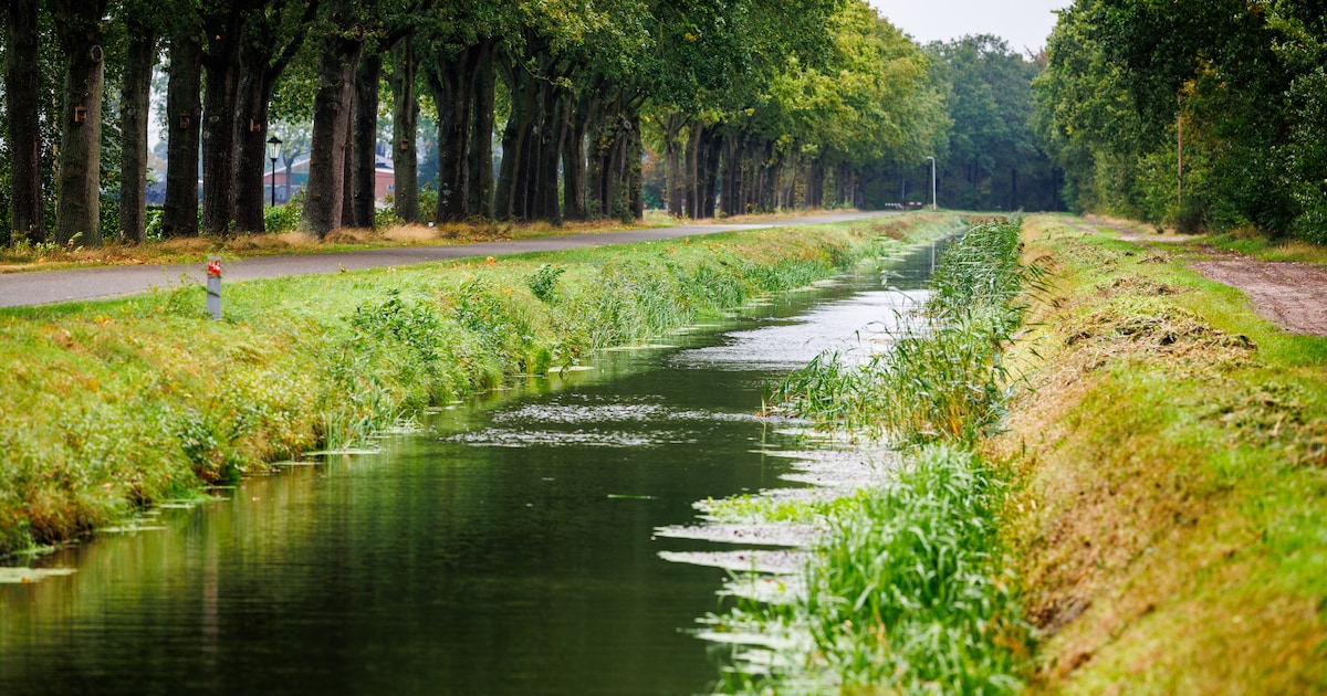 Vissen kunnen nu tegen de stroom in zwemmen, maar daar wacht hun geen fijne plek: waterschap grijpt 