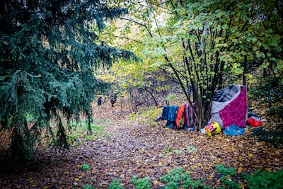 Image related to the article