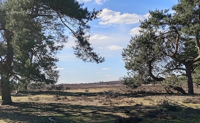 Voorjaarswandeling op de Ginkelse heide bij Ede