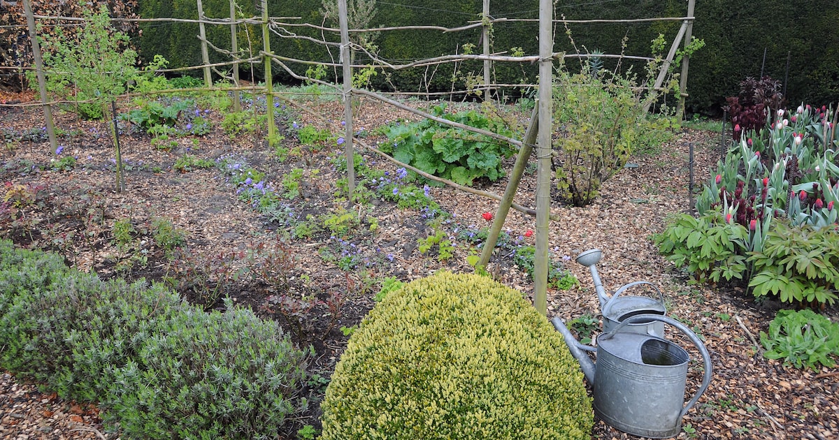 Gratis mulch ophalen voor inwoners Bergeijk