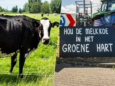 Boeren boos: dit is waarom Zuid-Holland zich bemoeit met aanpak van stikstof