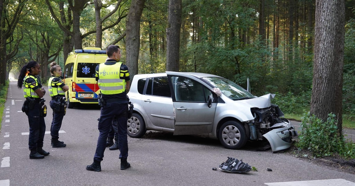 Automobilist gewond na botsing tegen boom in Eext