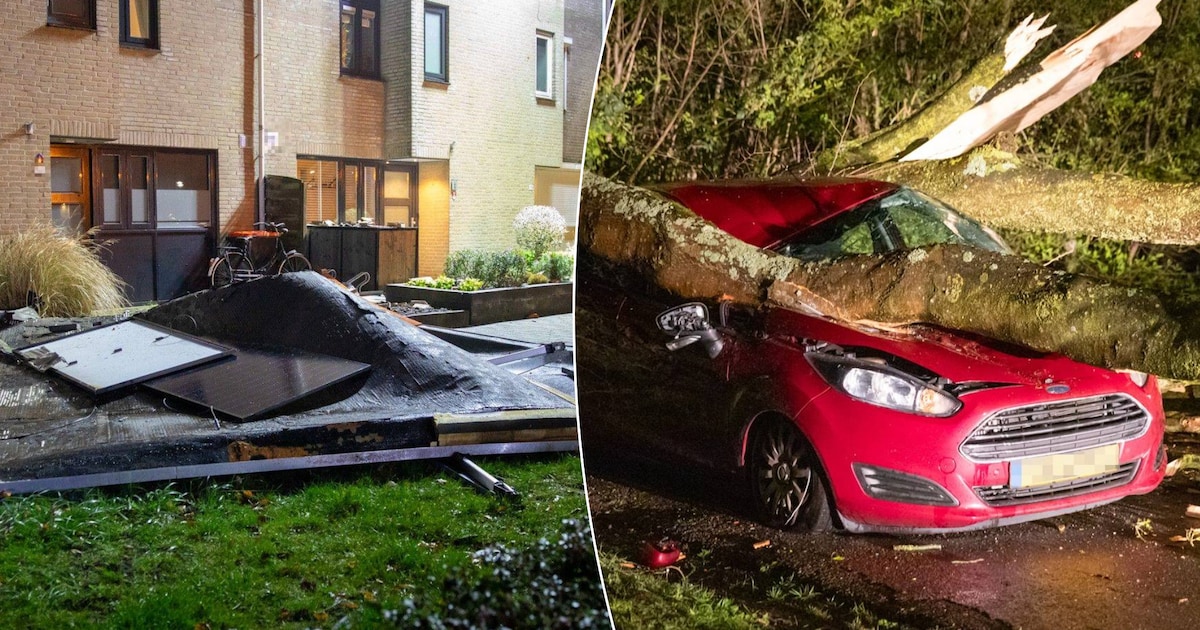 Daken van huizen gewaaid in Roosendaal, boom belandt op auto