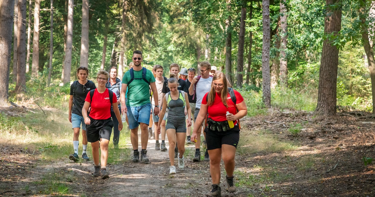 Zorgteam Koggenland begint wandelgroep voor rouwenden