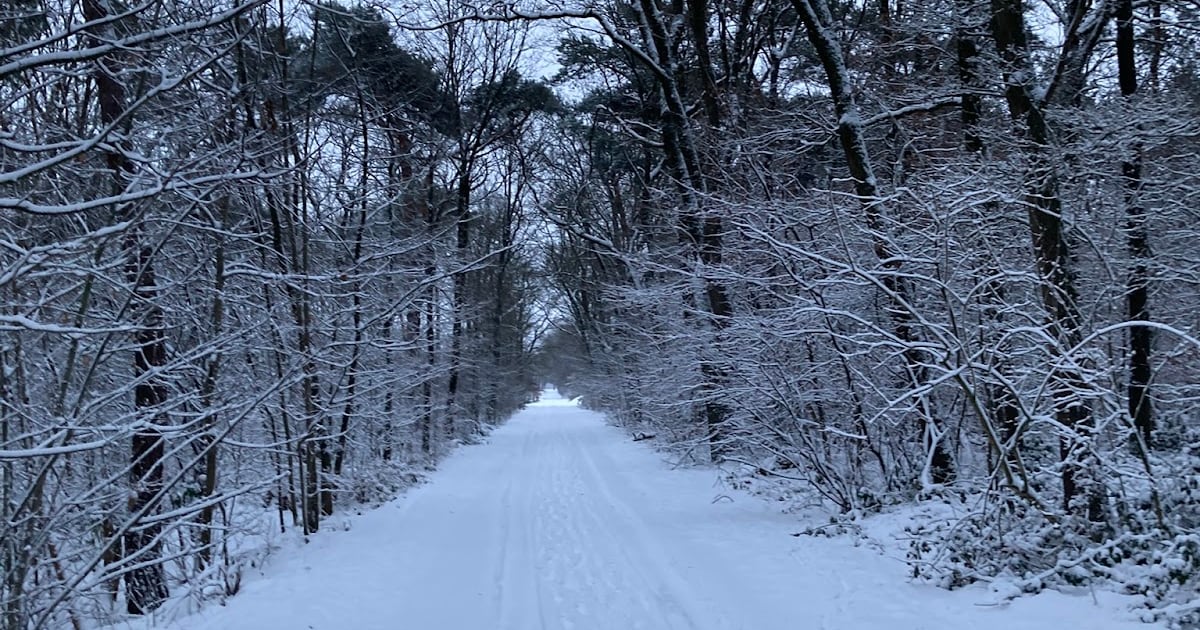 Wandelen door Vragender met na afloop een kop soep