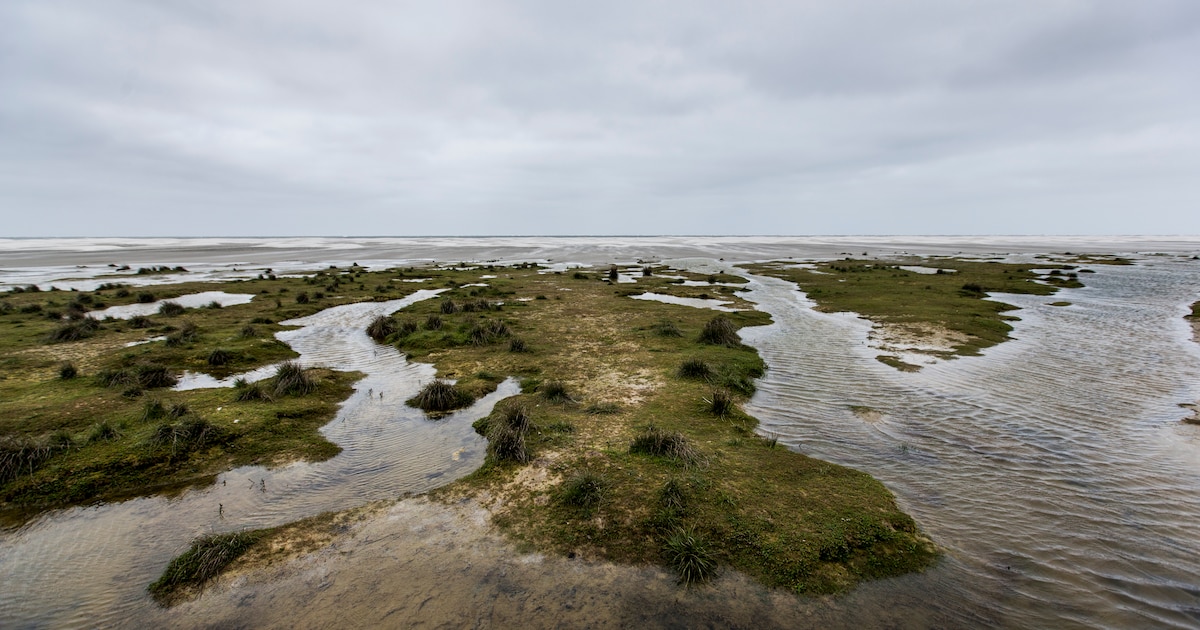 De zon zien zakken in de zee? Nachttocht met Silverwind vertrekt vanaf Schiermonnikoog