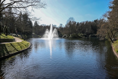 Uitvaartbedrijf brengt Droomvlucht-gevoel naar Apeldoorn: ‘Onze kinderen worden er heel vrolijk van’