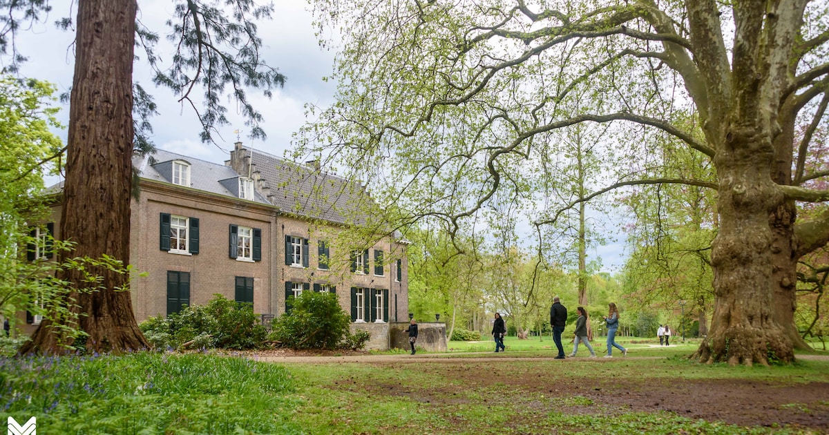 Maandelijks een ritje met ezelkar door Landgoed Kasteel Geldrop