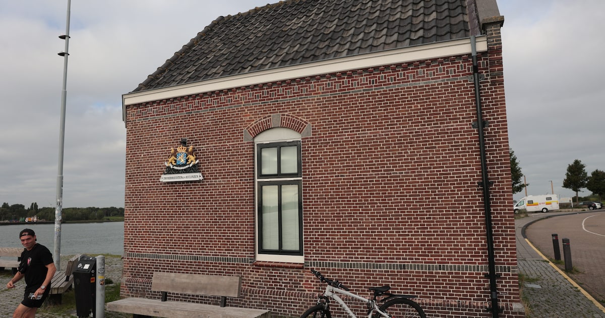 Beeldhouwer Friedie Kloen toont houten sculpturen in Douanehuisje Maassluis