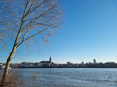 Doei Blue Monday! Van deze berichten word je vrolijk