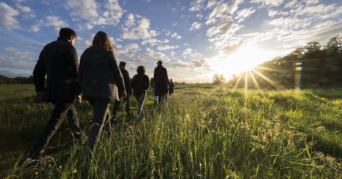 Natuurwandeling Wolvenpolder met gids in Nissewaard