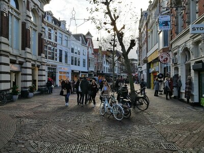 Weekend tips: things to do in Haarlem (February 27 - March 1)