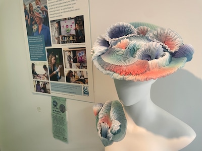 Image related to the article