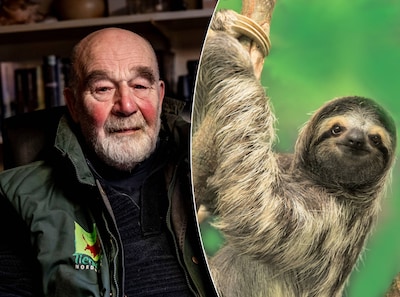 Image related to the article