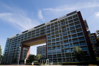 Image related to the article