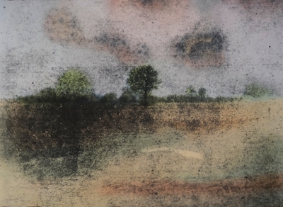 Expositie Wil Friesen in Wijchen verkent mysterie in landschap
