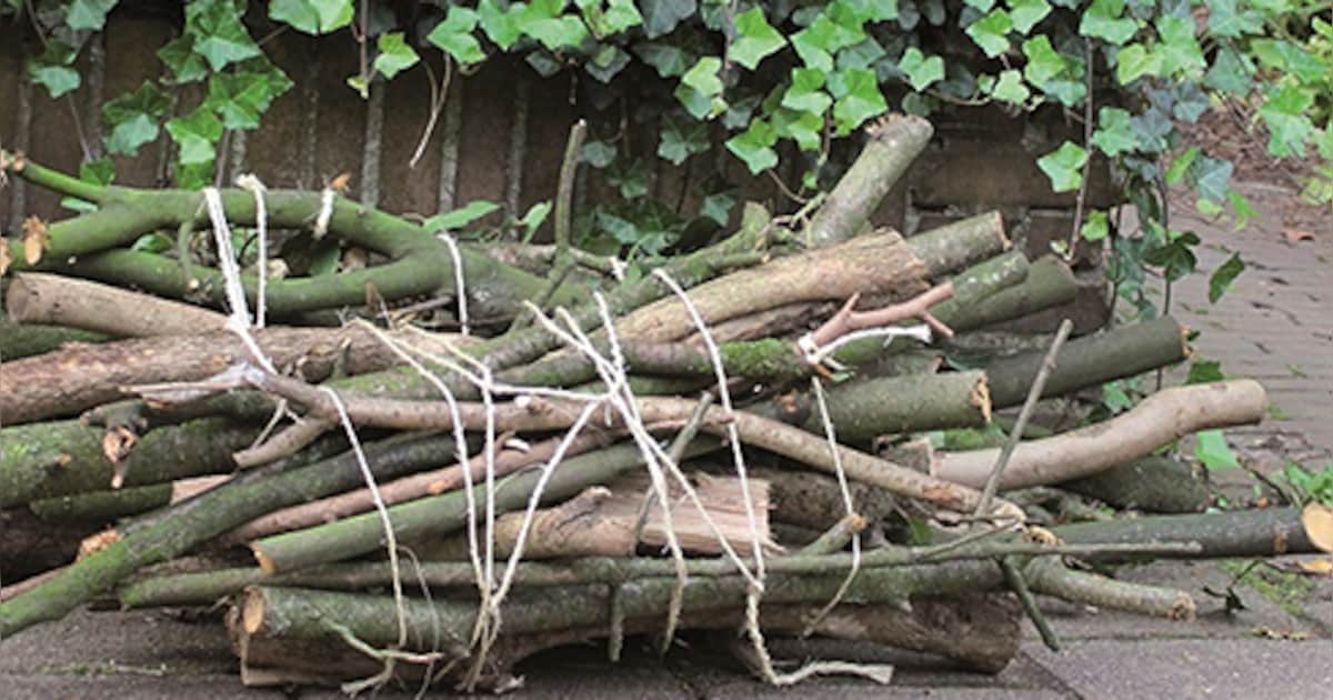 Zeistenaren kunnen snoeihout gratis laten ophalen