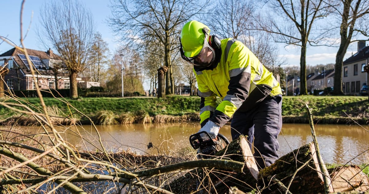 Groenwerkzaamheden starten in Hillegomse parken