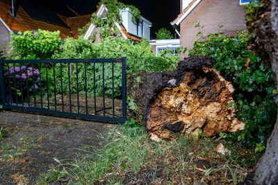 Flinke boom valt op Woning aan Sworminksweg in Colmschate