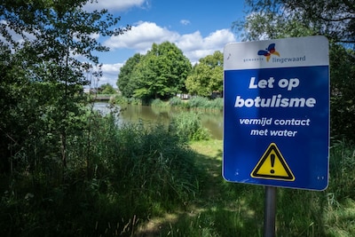 Waterschap waarschuwt: botulisme in Huissense visvijvers
