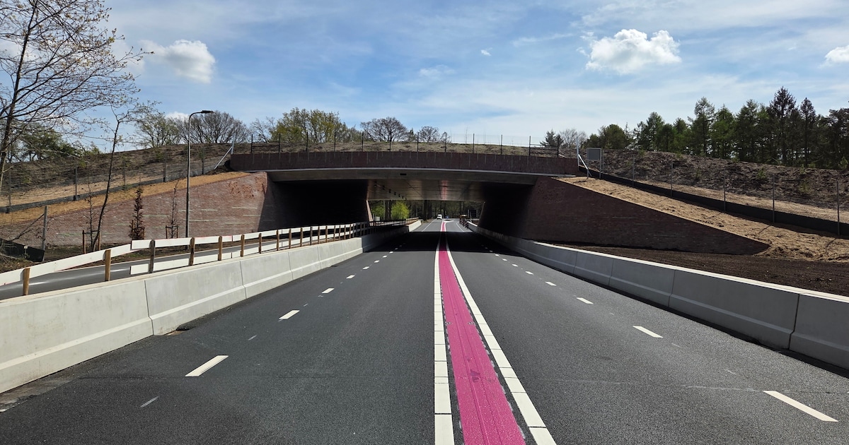 Partijen willen regels voor jacht in buurt ecoducten