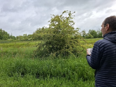 Vrijwilligers gezocht voor inventarisatie landschapselementen in Regio Foodvalley