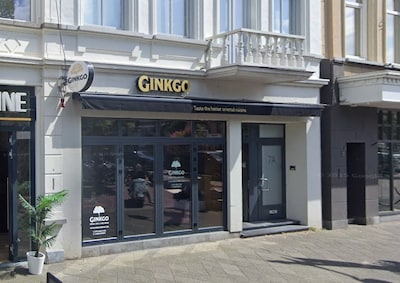 Nieuw in Breda: Pizza Beppe opent in het pand van Gingko, terwijl de rechtszaak met de gemeente nog 