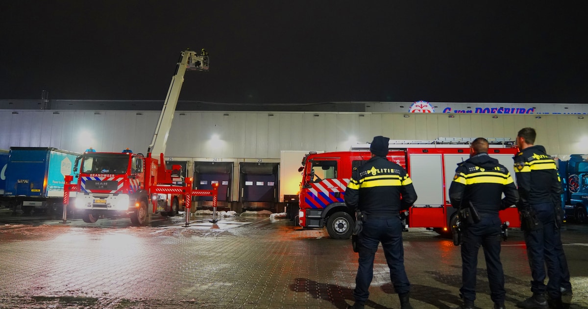 Dak transportbedrijf Zaltbommel ingezakt door hevige sneeuwval