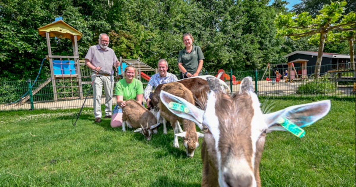 Kinderboerderij Klaverweide in Capelle tijdelijk gesloten