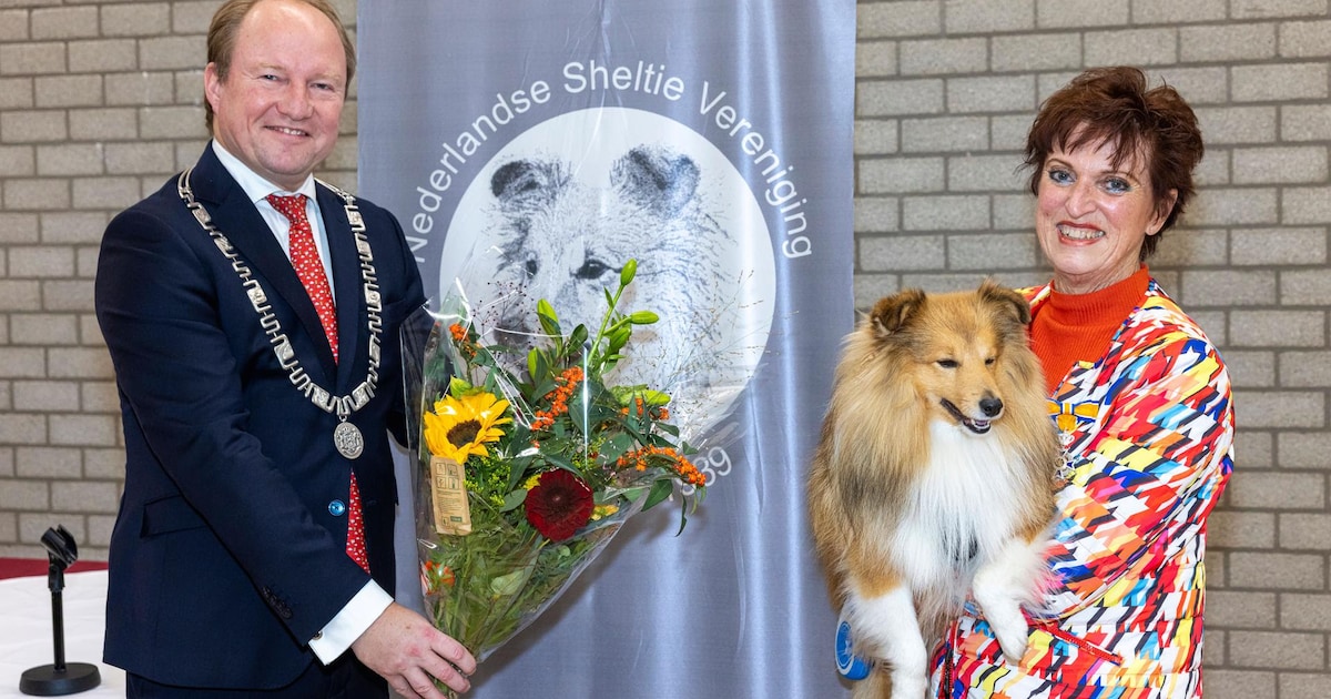 Jarenlange inzet voor Shetland Sheepdog levert Almeerse Marion ten Cate een lintje op