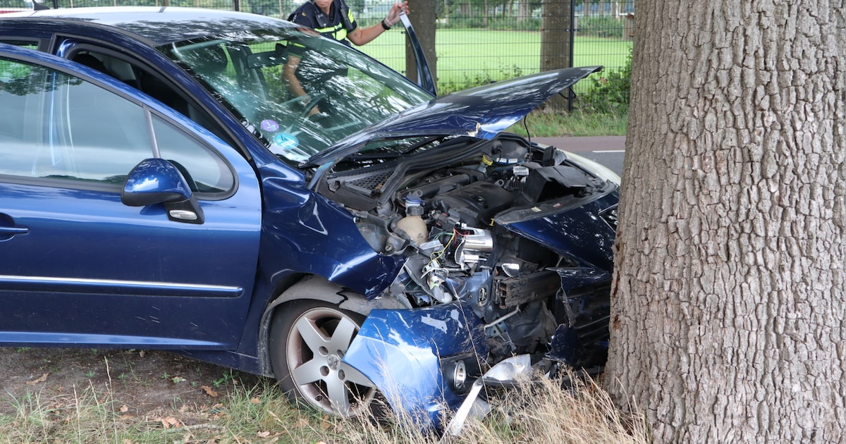 Vrouw knalt met auto tegen boom bij Kaatsheuvel | Regio | AD.nl