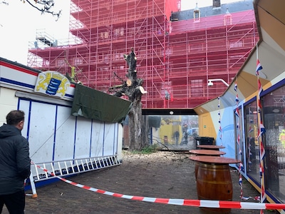Eind van een tijdperk: de eeuwenoude boom bij het Binnenhof maakt ruimte voor de gracht